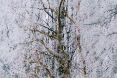 1_2502_FHA