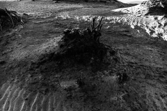 1_2304_FHA