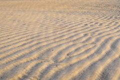 Wind_Ina_Bouhuijzen